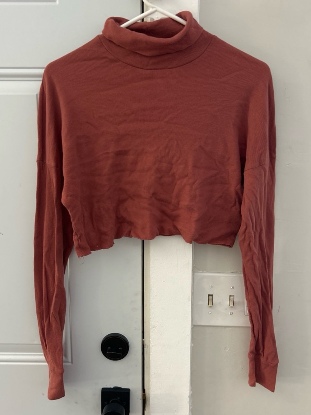 Cropped Turtleneck Long-Sleeve Top - Terracotta